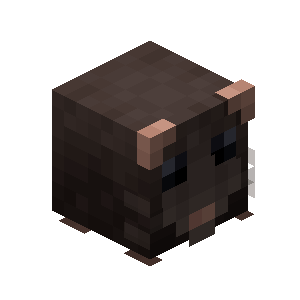 Rat